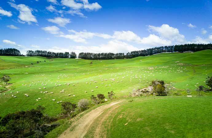 Les étapes clés d’un projet de rénovation de ferme